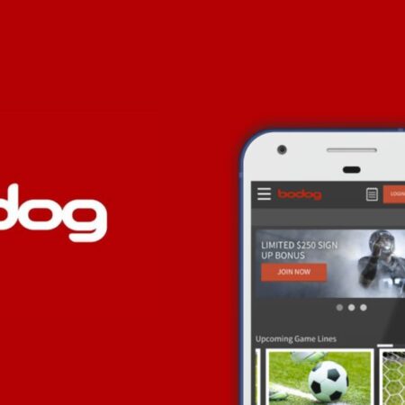 BODOG SPORTSBOOK 🚀 सुविधाजनक सट्टेबाजी के लिए भारतीय रुपए स्वीकार करता है