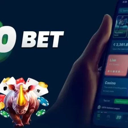 20 BET CASINO 🚀 खिलाड़ियों के लिए उपलब्ध शीर्ष स्टूडियो के खेल